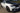 Car of the month September 2015