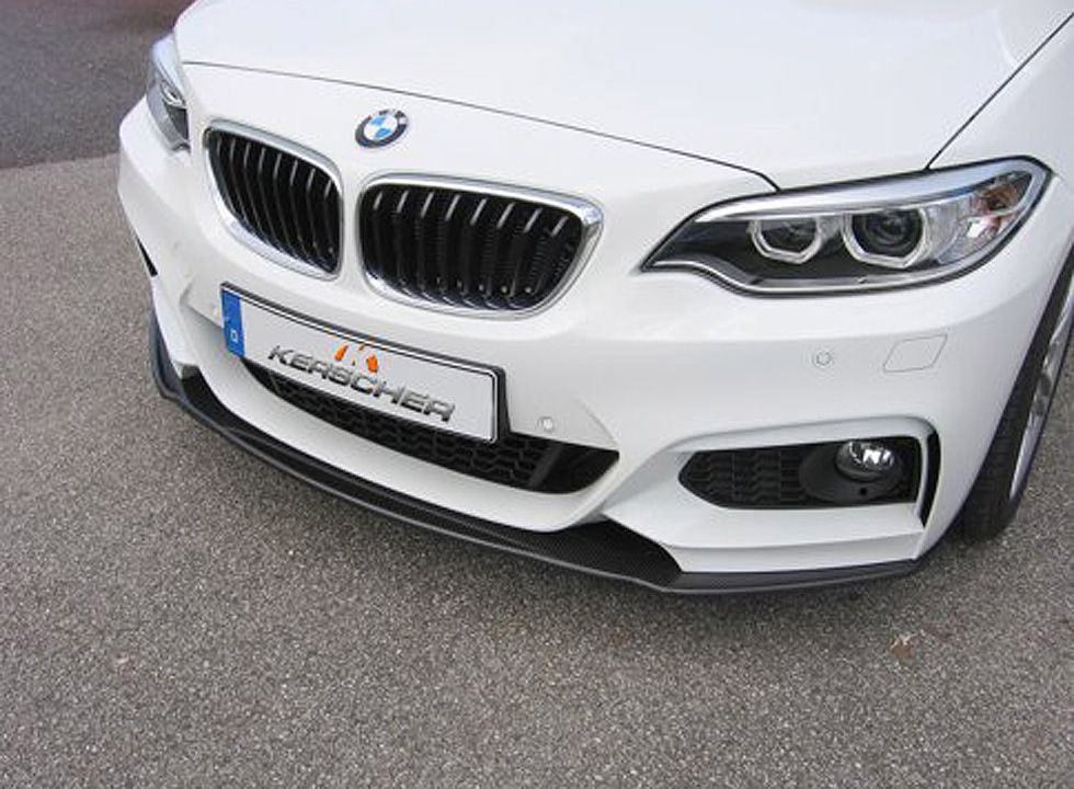 F22/23 Kerscher front splitter