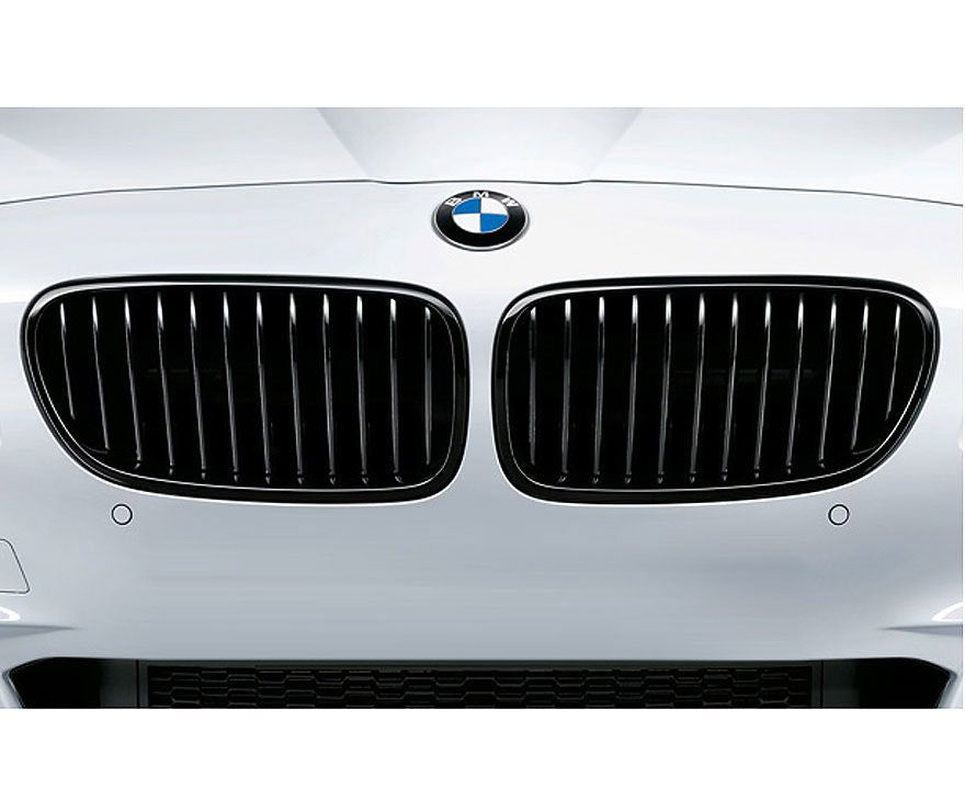 BMW Performance Front Grilles