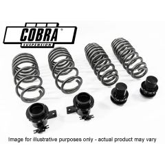 COBRA SUSPENSION HEIGHT ADJUSTABLE LOWERING SPRINGS FOR G82 M4 COMP CONVERTIBLE MODELS INC XDRIVE