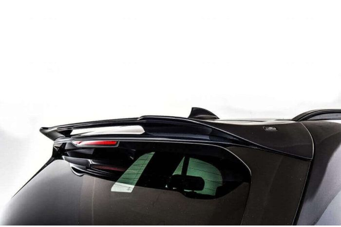 AC Schnitzer G05 X5 Rear Roof Wing 