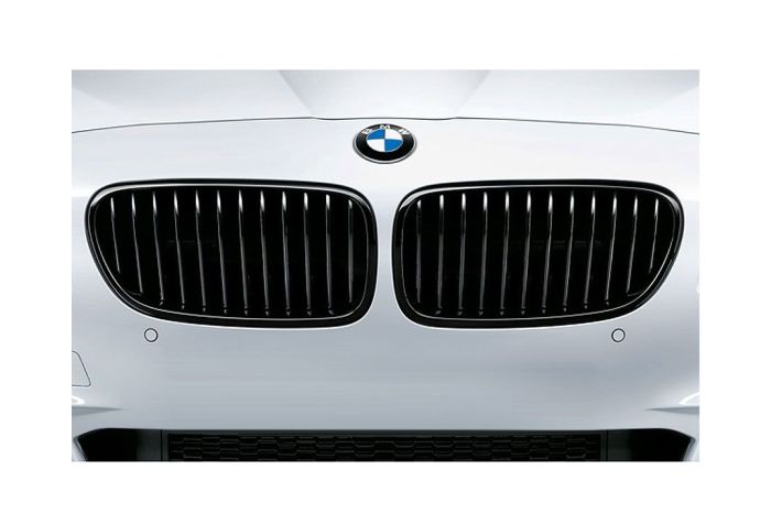 BMW Performance Front Grilles