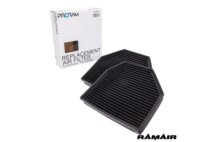 Ramair Proram Replacement Pleated Air Filter For F10