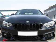 F32/33 BMW performance gloss grilles