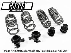 COBRA SUSPENSION HEIGHT ADJUSTABLE LOWERING SPRINGS FOR G83 M4 COMP CONVERTIBLE MODELS INC XDRIVE