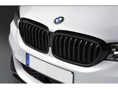 Genuine BMW Performance Front Grilles